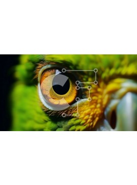 Intra Συλλεκτικό Ξύλινο Παζλ Plywood  4mm - Κοντινό πλάνο ενός πράσινου παπαγάλου με πορτοκαλί μάτι Σε Ξύλινο Κουτί - Διαστάσεις: 10x10 cm – 25 κομμάτια
