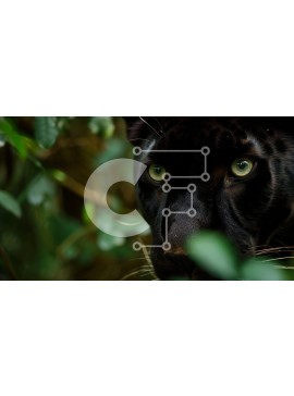 Σετ των 2 Intra Συλλεκτικό Ξύλινο Παζλ Plywood  4mm - Μαύρο Jaguar με πράσινα μάτια στο δάσος Σε Ξύλινο Κουτί - Διαστάσεις: 10x10 cm – 25 κομμάτια
