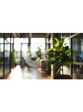 Intra Συλλεκτικό Ξύλινο Παζλ Plywood  4mm - Υγιές φυτό σε γλάστρα σε χώρο γραφείου με μεγάλα παράθυρα Σε Ξύλινο Κουτί - Διαστάσεις Puzzle: 10x10 cm – 25 κομμάτια