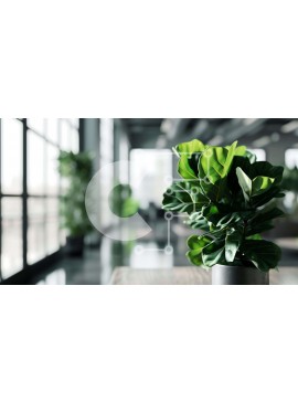 Intra Συλλεκτικό Ξύλινο Παζλ Plywood  4mm - Φυτό εσωτερικού χώρου σε γλάστρα με πράσινα φύλλα μπροστά από μεγάλα παράθυρα Σε Ξύλινο Κουτί - Διαστάσεις Puzzle: 10x10 cm – 25 κομμάτια