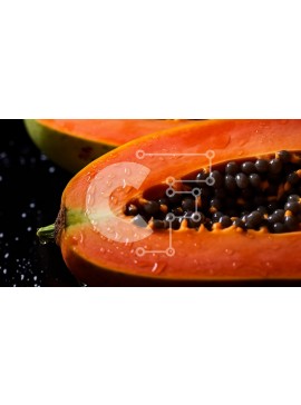 Σετ των 2 Intra Συλλεκτικό Ξύλινο Παζλ Plywood  4mm - Ώριμη παπάγια κομμένη στη μέση με σάρκα πορτοκαλιού και μαύρους σπόρους Σε Ξύλινο Κουτί - Διαστάσεις: 10x10 cm – 25 κομμάτια