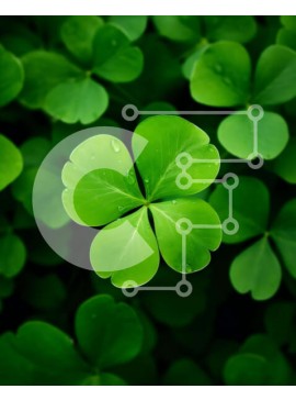 Intra Συλλεκτικό Ξύλινο Παζλ Plywood  4mm - Τετράφυλλο τριφύλλι που περιβάλλεται από πράσινα φύλλα Σε Ξύλινο Κουτί - Διαστάσεις: 10x10 cm – 25 κομμάτια