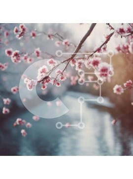 Intra Συλλεκτικό Ξύλινο Παζλ Plywood  4mm - Κλαδί δέντρου ροζ ανθών και ρέον νερό Σε Ξύλινο Κουτί - Διαστάσεις: 10x10 cm – 25 κομμάτια