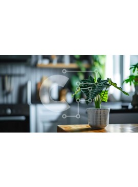 Intra Συλλεκτικό Ξύλινο Παζλ Plywood  4mm - Λευκό φυτό σε γλάστρα σε ξύλινο τραπέζι στην κουζίνα Σε Ξύλινο Κουτί - Διαστάσεις Puzzle: 10x10 cm – 25 κομμάτια