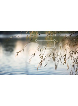 Intra Συλλεκτικό Ξύλινο Παζλ Plywood  4mm - Σιλουέτα κλαδιών ιτιάς πάνω από το νερό Σε Ξύλινο Κουτί - Διαστάσεις: 10x10 cm – 25 κομμάτια