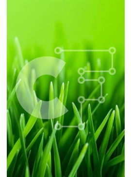 Σετ των 2 Intra Συλλεκτικό Ξύλινο Παζλ Plywood  4mm - Κοντινό πλάνο της φρεσκοκομμένης πράσινης χλόης Σε Ξύλινο Κουτί - Διαστάσεις: 10x10 cm – 25 κομμάτια