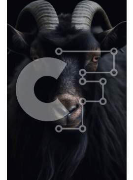 Σετ των 2 Intra Συλλεκτικό Ξύλινο Παζλ Plywood  4mm - Σοβαρή Μαύρη Κατσίκα με Μακρύ Κέρατα Σε Ξύλινο Κουτί - Διαστάσεις: 10x10 cm – 25 κομμάτια