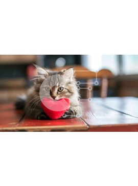 Intra Συλλεκτικό Ξύλινο Παζλ Plywood  4mm - Χαριτωμένη γάτα με λούτρινο ζώο σε σχήμα καρδιάς Σε Ξύλινο Κουτί - Διαστάσεις: 10x10 cm – 25 κομμάτια