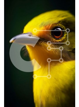 Σετ των 2 Intra Συλλεκτικό Ξύλινο Παζλ Plywood  4mm - Όμορφη κοντινή λήψη ενός κίτρινου πουλιού με καστανά μάτια και μαύρο ράμφος Σε Ξύλινο Κουτί - Διαστάσεις: 10x10 cm – 25 κομμάτια