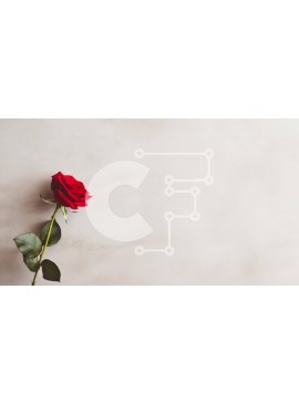 Intra Συλλεκτικό Ξύλινο Παζλ Plywood  4mm - Μονό κόκκινο τριαντάφυλλο σε υπόλευκο φόντο Σε Ξύλινο Κουτί - Διαστάσεις Puzzle: 10x10 cm – 25 κομμάτια