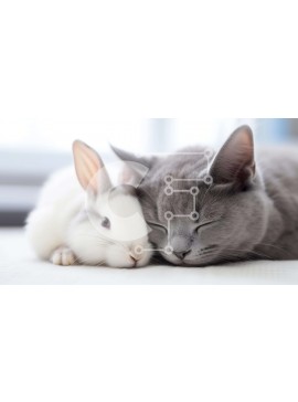 Σετ των 2 Intra Συλλεκτικό Ξύλινο Παζλ Plywood  4mm - Γάτα και κουνέλι που αγκαλιάζονται μαζί σε ένα κρεβάτι Σε Ξύλινο Κουτί - Διαστάσεις: 10x10 cm – 25 κομμάτια