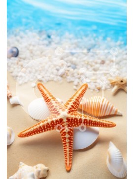 Σετ των 2 Intra Συλλεκτικό Ξύλινο Παζλ Plywood  4mm - Παραλία σκηνή με αστερίες, κοχύλια και άμμο Σε Ξύλινο Κουτί - Διαστάσεις: 10x10 cm – 25 κομμάτια