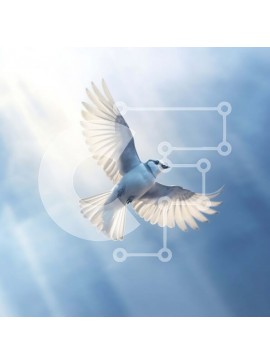 Intra Συλλεκτικό Ξύλινο Παζλ Plywood  4mm - Όμορφη εικόνα ενός λευκού περιστεριού εν πτήσει Σε Ξύλινο Κουτί - Διαστάσεις: 10x10 cm – 25 κομμάτια