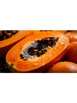 Σετ των 2 Intra Συλλεκτικό Ξύλινο Παζλ Plywood  4mm - Ώριμη παπάγια με σάρκα πορτοκαλιού και μαύρους σπόρους Σε Ξύλινο Κουτί - Διαστάσεις: 10x10 cm – 25 κομμάτια