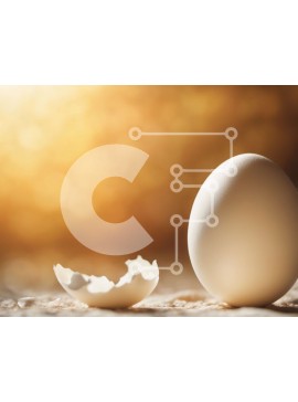 Intra Συλλεκτικό Ξύλινο Παζλ Plywood  4mm - Σπασμένο κέλυφος αυγού σε ανοιχτόχρωμο φόντο Σε Ξύλινο Κουτί - Διαστάσεις Puzzle: 10x10 cm – 25 κομμάτια