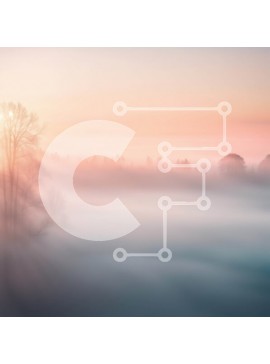 Intra Συλλεκτικό Ξύλινο Παζλ Plywood  4mm - Όμορφη εικόνα ομιχλώδους τοπίου με δέντρα και ηλιοβασίλεμα Σε Ξύλινο Κουτί - Διαστάσεις: 10x10 cm – 25 κομμάτια