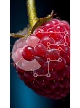 Intra Συλλεκτικό Ξύλινο Παζλ Plywood  4mm - Όμορφη εικόνα ενός κόκκινου βατόμουρου σε σκούρο φόντο Σε Ξύλινο Κουτί - Διαστάσεις: 10x10 cm – 25 κομμάτια