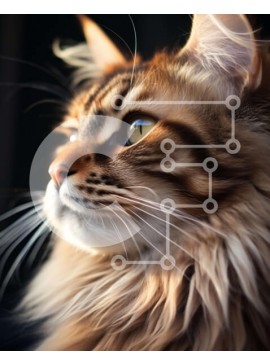 Σετ των 2 Intra Συλλεκτικό Ξύλινο Παζλ Plywood  4mm - Εκπληκτική κοντινή φωτογραφία μιας χνουδωτής γάτας με έντονα πράσινα μάτια Σε Ξύλινο Κουτί - Διαστάσεις: 10x10 cm – 25 κομμάτια