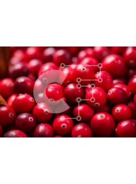 Σετ των 2 Intra Συλλεκτικό Ξύλινο Παζλ Plywood  4mm - Σωρός από κόκκινα βακκίνια Σε Ξύλινο Κουτί - Διαστάσεις: 10x10 cm – 25 κομμάτια