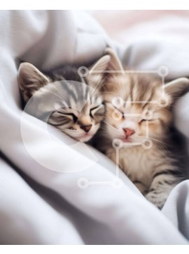 Σετ των 2 Intra Συλλεκτικό Ξύλινο Παζλ Plywood  4mm - Δύο γατάκια που κοιμούνται κάτω από μια κουβέρτα Σε Ξύλινο Κουτί - Διαστάσεις: 10x10 cm – 25 κομμάτια