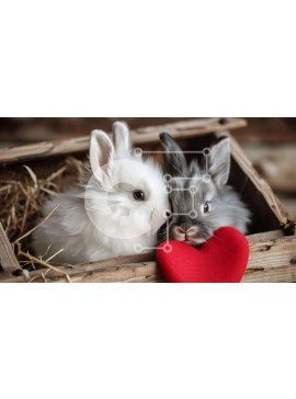 Intra Συλλεκτικό Ξύλινο Παζλ Plywood  4mm - Στοργικά κουνέλια στριμώχνονται μαζί σε ένα ξύλινο κλουβί Σε Ξύλινο Κουτί - Διαστάσεις: 10x10 cm – 25 κομμάτια