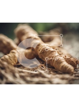 Σετ των 2 Intra Συλλεκτικό Ξύλινο Παζλ Plywood  4mm - Κοντινό πλάνο στοιβαγμένο τζίντζερ σε ξερά φύλλα Σε Ξύλινο Κουτί - Διαστάσεις: 10x10 cm – 25 κομμάτια