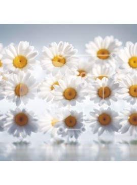 Intra Συλλεκτικό Ξύλινο Παζλ Plywood  4mm - Όμορφη εικόνα των λευκών μαργαριτών σε ένα ήρεμο υδάτινο τοπίο Σε Ξύλινο Κουτί - Διαστάσεις: 10x10 cm – 25 κομμάτια