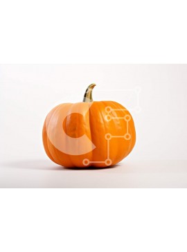 Intra Συλλεκτικό Ξύλινο Παζλ Plywood  4mm - Κοντινό πλάνο μιας κολοκύθας Σε Ξύλινο Κουτί - Διαστάσεις Puzzle: 10x10 cm – 25 κομμάτια