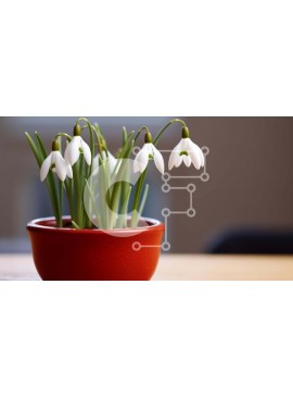 Intra Συλλεκτικό Ξύλινο Παζλ Plywood  4mm - Κόκκινη γλάστρα με χιονοσταλίδες και πράσινα φύλλα Σε Ξύλινο Κουτί - Διαστάσεις: 10x10 cm – 25 κομμάτια