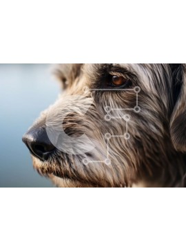 Σετ των 2 Intra Συλλεκτικό Ξύλινο Παζλ Plywood  4mm - Κοντινή όψη του προσώπου ενός σκύλου με βρεγμένο και μπερδεμένο τρίχωμα Σε Ξύλινο Κουτί - Διαστάσεις: 10x10 cm – 25 κομμάτια