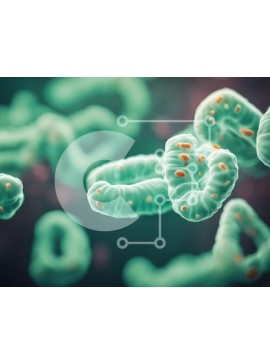 Intra Συλλεκτικό Ξύλινο Παζλ Plywood  4mm - Κοντινή όψη του μικροσκοπικού οργανισμού Σε Ξύλινο Κουτί - Διαστάσεις Puzzle: 10x10 cm – 25 κομμάτια