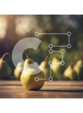 Σετ των 2 Intra Συλλεκτικό Ξύλινο Παζλ Plywood  4mm - Φρέσκα και ώριμα αχλάδια σε ένα ξύλινο τραπέζι με πράσινο φόντο Σε Ξύλινο Κουτί - Διαστάσεις: 10x10 cm – 25 κομμάτια