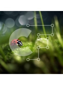 Intra Συλλεκτικό Ξύλινο Παζλ Plywood  4mm - Πασχαλίτσα στην ποώδη επιφάνεια Στοκ Φωτογραφία Σε Ξύλινο Κουτί - Διαστάσεις: 10x10 cm – 25 κομμάτια