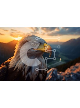 Intra Συλλεκτικό Ξύλινο Παζλ Plywood  4mm - Εκπληκτική εικόνα ενός φαλακρού αετού σε πτήση στο ηλιοβασίλεμα Σε Ξύλινο Κουτί - Διαστάσεις: 10x10 cm – 25 κομμάτια