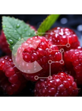 Σετ των 2 Intra Συλλεκτικό Ξύλινο Παζλ Plywood  4mm - Ζουμερά και ώριμα φρέσκα σμέουρα Σε Ξύλινο Κουτί - Διαστάσεις: 10x10 cm – 25 κομμάτια