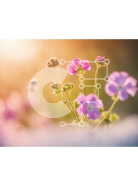 Intra Συλλεκτικό Ξύλινο Παζλ Plywood  4mm - Πεδίο με ροζ λουλούδια με ήλιο που λάμπει Σε Ξύλινο Κουτί - Διαστάσεις: 10x10 cm – 25 κομμάτια