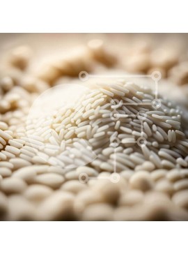 Σετ των 2 Intra Συλλεκτικό Ξύλινο Παζλ Plywood  4mm - Όμορφη κοντινή λήψη κόκκων λευκού ρυζιού Σε Ξύλινο Κουτί - Διαστάσεις: 10x10 cm – 25 κομμάτια