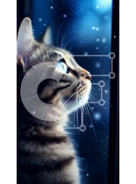 Σετ των 2 Intra Συλλεκτικό Ξύλινο Παζλ Plywood  4mm - Εκπληκτική εικόνα μιας γάτας που κοιτάζει τον νυχτερινό ουρανό Σε Ξύλινο Κουτί - Διαστάσεις: 10x10 cm – 25 κομμάτια