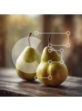 Σετ των 2 Intra Συλλεκτικό Ξύλινο Παζλ Plywood  4mm - Δύο αχλάδια σε ένα ξύλινο τραπέζι Σε Ξύλινο Κουτί - Διαστάσεις: 10x10 cm – 25 κομμάτια