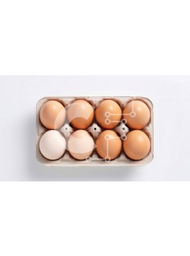 Σετ των 2 Intra Συλλεκτικό Ξύλινο Παζλ Plywood  4mm - Κουτί αυγών με καφέ και λευκά αυγά Σε Ξύλινο Κουτί - Διαστάσεις: 10x10 cm – 25 κομμάτια