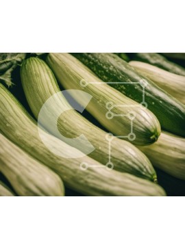 Σετ των 2 Intra Συλλεκτικό Ξύλινο Παζλ Plywood  4mm - Στοίβα από πράσινα και λευκά αγγούρια Σε Ξύλινο Κουτί - Διαστάσεις: 10x10 cm – 25 κομμάτια