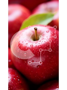 Intra Συλλεκτικό Ξύλινο Παζλ Plywood  4mm - Σωρός από κόκκινα μήλα με σταγονίδια νερού Σε Ξύλινο Κουτί - Διαστάσεις: 10x10 cm – 25 κομμάτια