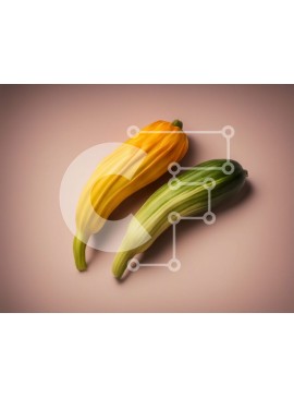 Σετ των 2 Intra Συλλεκτικό Ξύλινο Παζλ Plywood  4mm - Δύο κολοκύθες σε μπεζ φόντο Σε Ξύλινο Κουτί - Διαστάσεις: 10x10 cm – 25 κομμάτια