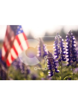 Intra Συλλεκτικό Ξύλινο Παζλ Plywood  4mm - Μωβ λουλούδια λούπινου σε χωράφι με αμερικανική σημαία Σε Ξύλινο Κουτί - Διαστάσεις: 10x10 cm – 25 κομμάτια