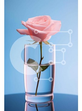 Σετ των 2 Intra Συλλεκτικό Ξύλινο Παζλ Plywood  4mm - Μονό ροζ τριαντάφυλλο που επιπλέει στο νερό Σε Ξύλινο Κουτί - Διαστάσεις: 10x10 cm – 25 κομμάτια