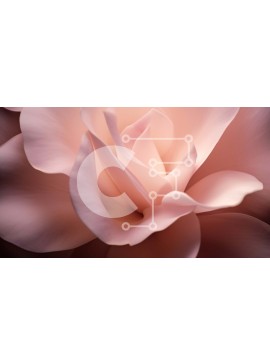 Intra Συλλεκτικό Ξύλινο Παζλ Plywood  4mm - Κοντινό πλάνο του ροζ λουλουδιού Σε Ξύλινο Κουτί - Διαστάσεις: 10x10 cm – 25 κομμάτια