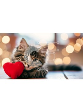 Intra Συλλεκτικό Ξύλινο Παζλ Plywood  4mm - Αξιολάτρευτο γατάκι με πορτοκαλί παιχνίδι σε σχήμα καρδιάς Σε Ξύλινο Κουτί - Διαστάσεις: 10x10 cm – 25 κομμάτια