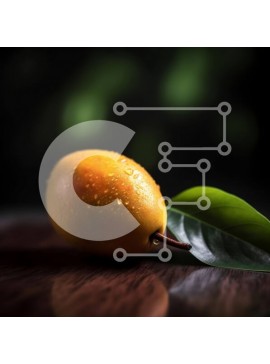 Σετ των 2 Intra Συλλεκτικό Ξύλινο Παζλ Plywood  4mm - Όμορφη εικόνα ενός ώριμου μάνγκο με σταγονίδια νερού Σε Ξύλινο Κουτί - Διαστάσεις: 10x10 cm – 25 κομμάτια