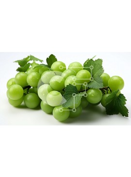 Σετ των 2 Intra Συλλεκτικό Ξύλινο Παζλ Plywood  4mm - Νόστιμη εικόνα των πράσινων σταφυλιών στο αμπέλι Σε Ξύλινο Κουτί - Διαστάσεις: 10x10 cm – 25 κομμάτια