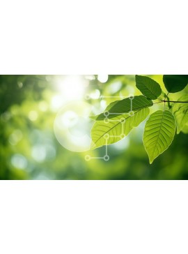 Intra Συλλεκτικό Ξύλινο Παζλ Plywood  4mm - Πράσινα φύλλα σε κλαδί δέντρου με το φως του ήλιου Σε Ξύλινο Κουτί - Διαστάσεις: 10x10 cm – 25 κομμάτια